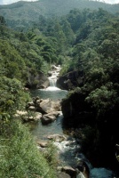 Rio Preto through Mauá valley