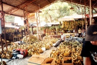 Bananas at the Central Market