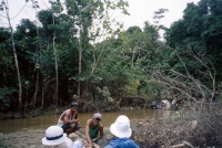 On the Mapiá river
